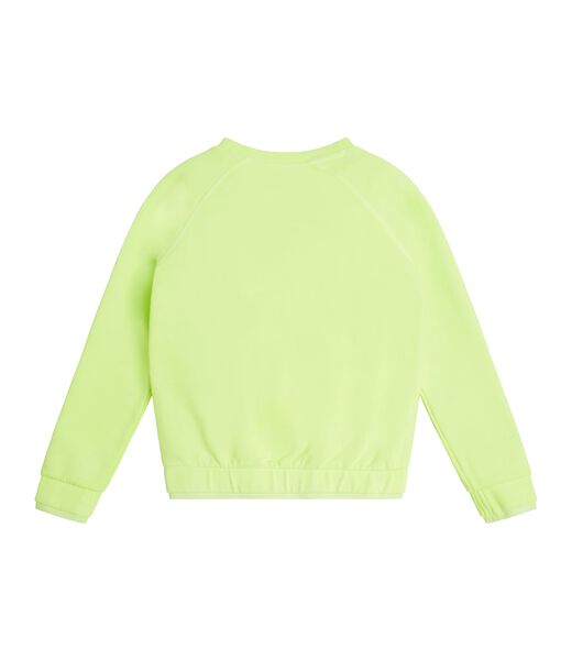 Neon Sweatshirt