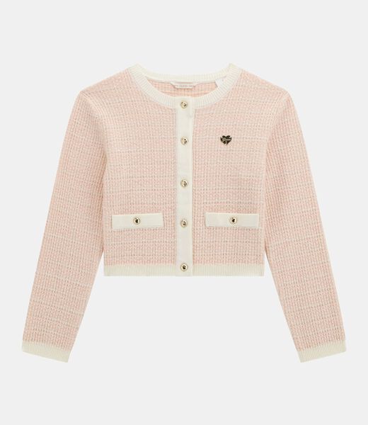 Tweed jacket