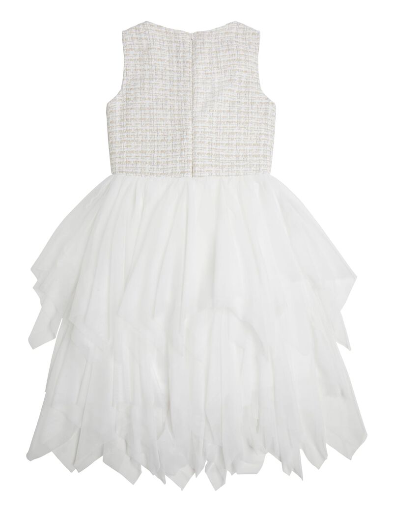 Tweed Dress