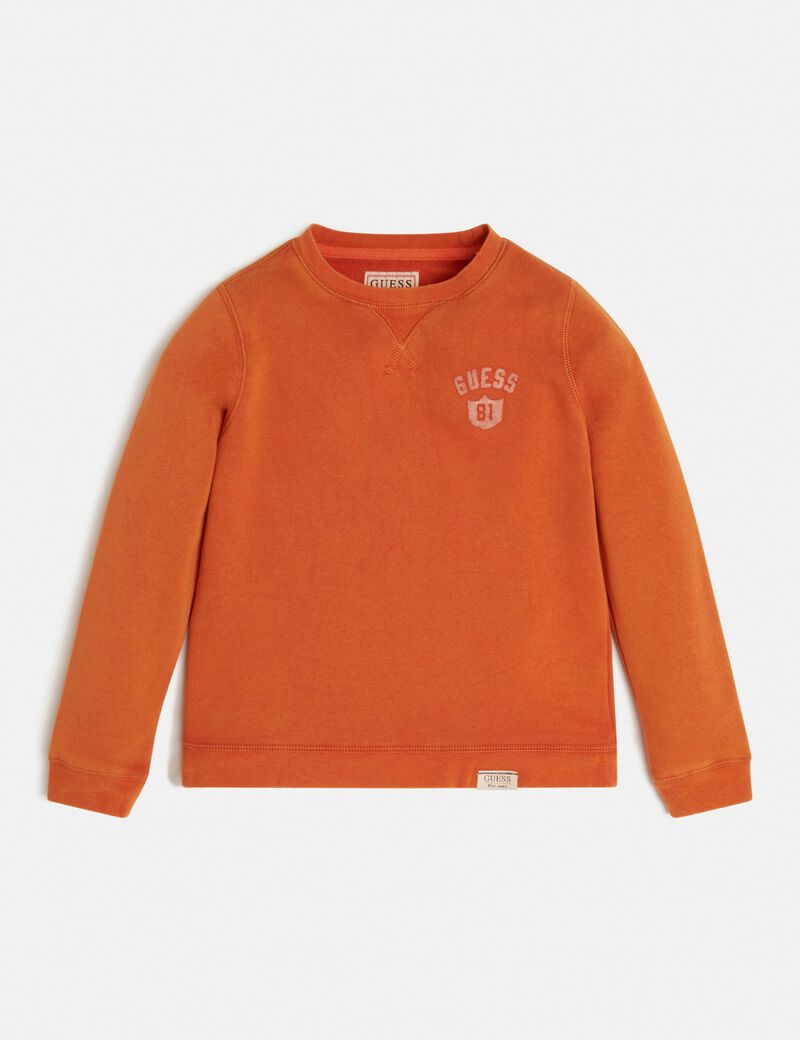 Boys Long-Sleeve Jumper