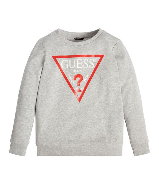 Triangle Logo Sweatshirt