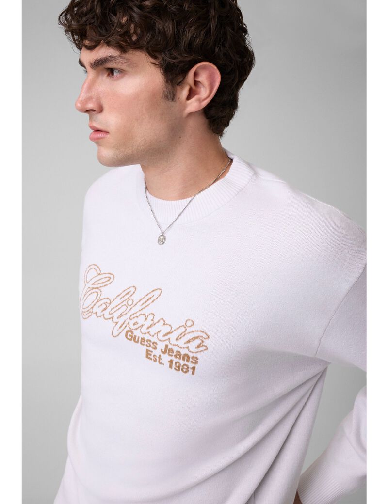 guess jacquard sweater