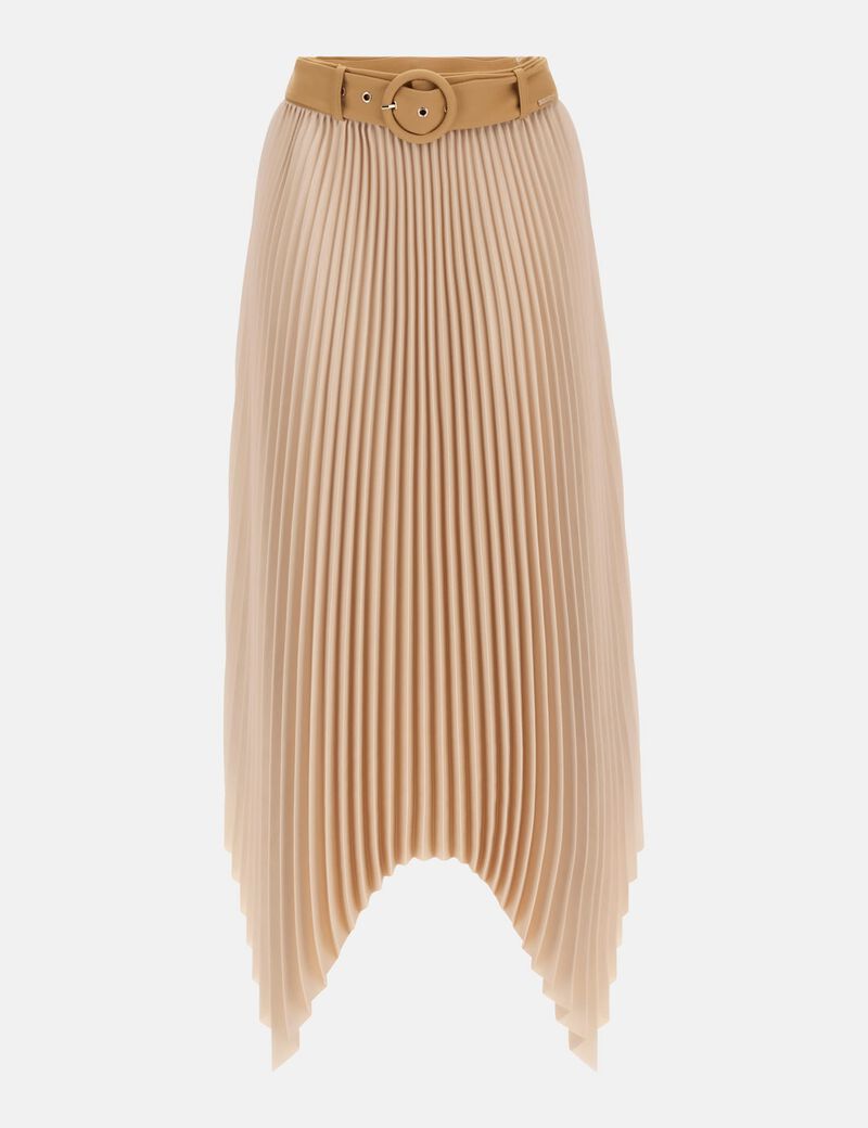 Asymmetrical Pleated Skirt