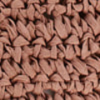Coral Punch